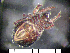  ( - 08DPMIT-0254)  @14 [ ] CreativeCommons - Attribution (2010) Unspecified Centre for Biodiversity Genomics