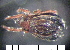  ( - 08DPMIT-0254)  @14 [ ] CreativeCommons - Attribution (2010) Unspecified Centre for Biodiversity Genomics