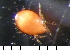  ( - 08DPMIT-0271)  @13 [ ] CreativeCommons - Attribution (2010) Unspecified Centre for Biodiversity Genomics