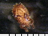  ( - 08DPMIT-0339)  @13 [ ] CreativeCommons - Attribution (2010) Unspecified Centre for Biodiversity Genomics