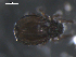  ( - 08DPMIT-0491)  @13 [ ] CreativeCommons - Attribution (2010) Unspecified Centre for Biodiversity Genomics
