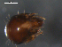  ( - 08DPMIT-0501)  @13 [ ] CreativeCommons - Attribution (2010) Unspecified Centre for Biodiversity Genomics