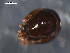  ( - 08DPMIT-0545)  @12 [ ] CreativeCommons - Attribution (2010) Unspecified Centre for Biodiversity Genomics