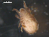  ( - 08DPMIT-0546)  @13 [ ] CreativeCommons - Attribution (2010) Unspecified Centre for Biodiversity Genomics