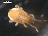  ( - 08DPMIT-0548)  @12 [ ] CreativeCommons - Attribution (2010) Unspecified Centre for Biodiversity Genomics