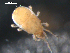  ( - 08DPMIT-0548)  @13 [ ] CreativeCommons - Attribution (2010) Unspecified Centre for Biodiversity Genomics