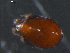 ( - DPMIT-31-91)  @13 [ ] CreativeCommons - Attribution (2010) CBG Photography Group Centre for Biodiversity Genomics