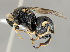  ( - CHACP-UFES-BC310)  @11 [ ] Unspecified (default): All Rights Reserved  Unspecified Unspecified