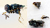  ( - CHACP-UFES-BC471)  @11 [ ] Unspecified (default): All Rights Reserved  Unspecified Unspecified