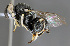  ( - CHACP-UFES-MVB007)  @11 [ ] Unspecified (default): All Rights Reserved  Unspecified Unspecified