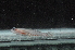  ( - CHA23_004)  @11 [ ] Unspecified (default): All Rights Reserved  Unspecified Unspecified
