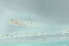  ( - CHA23_128)  @11 [ ] Unspecified (default): All Rights Reserved  Unspecified Unspecified