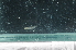  (Eviota notata/nebulosa - CHA23_228)  @11 [ ] Unspecified (default): All Rights Reserved  Unspecified Unspecified