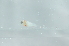 ( - CHA23_403)  @11 [ ] Unspecified (default): All Rights Reserved  Unspecified Unspecified