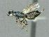  ( - CNCHyCh 0008)  @11 [ ] Unspecified (default): All Rights Reserved  Unspecified Unspecified