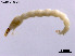  ( - CHLA506)  @11 [ ] CreativeCommons-Attribution Non-Commercial Share-Alike (2020) Xiaolong Lin Nankai University, College of Life Sciences