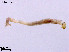  ( - CHLA517)  @11 [ ] CreativeCommons-Attribution Non-Commercial Share-Alike (2020) Xiaolong Lin Nankai University, College of Life Sciences