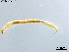  ( - CHLA543)  @11 [ ] CreativeCommons-Attribution Non-Commercial Share-Alike (2020) Xiaolong Lin Nankai University, College of Life Sciences