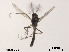  ( - XL1015)  @11 [ ] CreativeCommons - Attribution Non-Commercial Share-Alike (2019) Xiaolong Lin College of Life Sciences, Nankai University