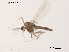  ( - XL1030)  @11 [ ] CreativeCommons - Attribution Non-Commercial Share-Alike (2019) Xiaolong Lin College of Life Sciences, Nankai University