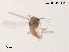  ( - XL1031)  @11 [ ] CreativeCommons-Attribution Non-Commercial Share-Alike (2020) Xiaolong Lin Nankai University, College of Life Sciences