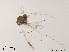  ( - XL1032)  @11 [ ] CreativeCommons - Attribution Non-Commercial Share-Alike (2019) Xiaolong Lin College of Life Sciences, Nankai University