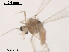  ( - XL1041)  @11 [ ] CreativeCommons - Attribution Non-Commercial Share-Alike (2019) Xiaolong Lin College of Life Sciences, Nankai University