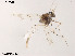  ( - XL1042)  @11 [ ] CreativeCommons - Attribution Non-Commercial Share-Alike (2019) Xiaolong Lin College of Life Sciences, Nankai University