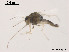  ( - XL1049)  @11 [ ] CreativeCommons - Attribution Non-Commercial Share-Alike (2019) Xiaolong Lin College of Life Sciences, Nankai University