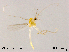  ( - XL1081)  @11 [ ] CreativeCommons-Attribution Non-Commercial Share-Alike (2020) Xiaolong Lin Nankai University, College of Life Sciences