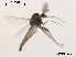  ( - XL1085)  @11 [ ] CreativeCommons - Attribution Non-Commercial Share-Alike (2019) Xiaolong Lin College of Life Sciences, Nankai University