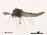  ( - XL1091)  @11 [ ] CreativeCommons - Attribution Non-Commercial Share-Alike (2019) Xiaolong Lin College of Life Sciences, Nankai University
