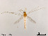  ( - XL1094)  @11 [ ] CreativeCommons - Attribution Non-Commercial Share-Alike (2019) Xiaolong Lin College of Life Sciences, Nankai University