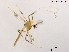  ( - XL1157)  @11 [ ] CreativeCommons - Attribution Non-Commercial Share-Alike (2019) Xiaolong Lin College of Life Sciences, Nankai University