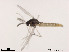  ( - XL1170)  @11 [ ] CreativeCommons - Attribution Non-Commercial Share-Alike (2019) Xiaolong Lin College of Life Sciences, Nankai University