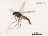  ( - XL1171)  @11 [ ] CreativeCommons - Attribution Non-Commercial Share-Alike (2019) Xiaolong Lin College of Life Sciences, Nankai University