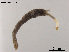  ( - XL1278)  @11 [ ] CreativeCommons - Attribution Non-Commercial Share-Alike (2018) Xiaolong Lin College of Life Sciences, Nankai University