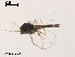 ( - XL1348)  @11 [ ] CreativeCommons - Attribution Non-Commercial Share-Alike (2019) Xiaolong Lin College of Life Sciences, Nankai University