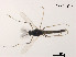  ( - XL1390)  @11 [ ] CreativeCommons - Attribution Non-Commercial Share-Alike (2019) Xiaolong Lin College of Life Sciences, Nankai University