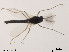  ( - XL1391)  @11 [ ] CreativeCommons - Attribution Non-Commercial Share-Alike (2019) Xiaolong Lin College of Life Sciences, Nankai University