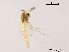  ( - XL1429)  @11 [ ] CreativeCommons - Attribution Non-Commercial Share-Alike (2019) Xiaolong Lin College of Life Sciences, Nankai University