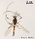  ( - XL1439)  @11 [ ] CreativeCommons - Attribution Non-Commercial Share-Alike (2018) Xiaolong Lin College of Life Sciences, Nankai University