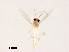  ( - XL1458)  @12 [ ] CreativeCommons - Attribution Non-Commercial Share-Alike (2019) Xiaolong Lin College of Life Sciences, Nankai University