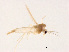  ( - XL1472)  @12 [ ] CreativeCommons - Attribution Non-Commercial Share-Alike (2019) Xiaolong Lin College of Life Sciences, Nankai University
