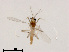  ( - XL1494)  @11 [ ] CreativeCommons - Attribution Non-Commercial Share-Alike (2019) Xiaolong Lin College of Life Sciences, Nankai University