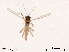  ( - XL1495)  @11 [ ] CreativeCommons - Attribution Non-Commercial Share-Alike (2019) Xiaolong Lin College of Life Sciences, Nankai University