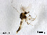  ( - XL1615)  @13 [ ] CreativeCommons - Attribution Non-Commercial Share-Alike (2019) Xiaolong Lin College of Life Sciences, Nankai University