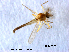  ( - XL1627)  @11 [ ] CreativeCommons - Attribution Non-Commercial Share-Alike (2019) Xiaolong Lin College of Life Sciences, Nankai University
