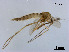  ( - XL1753)  @11 [ ] CreativeCommons - Attribution Non-Commercial Share-Alike (2019) Xiaolong Lin College of Life Sciences, Nankai University