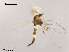  ( - XL1796)  @12 [ ] CreativeCommons - Attribution Non-Commercial Share-Alike (2019) Xiaolong Lin College of Life Sciences, Nankai University
